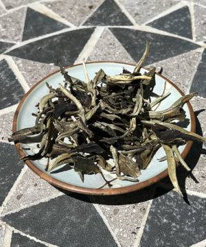 Moonlight Imperial white tea from Jinggu