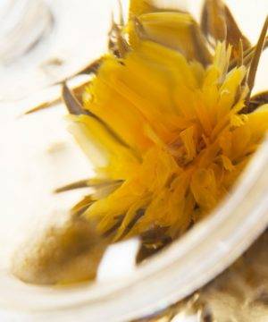 Hope Sun Marigold Blooming White Tea