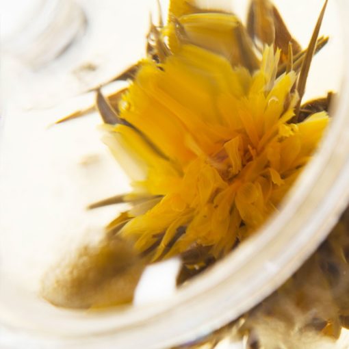 Hope Sun Marigold Blooming White Tea