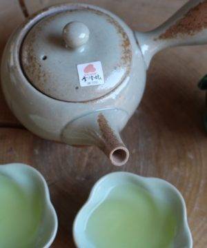 Kyusu giapponese Tokoname in ceramica beige smaltato 330 ml
