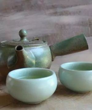 Kyusu giapponese Tokoname in ceramica verde 330 ml
