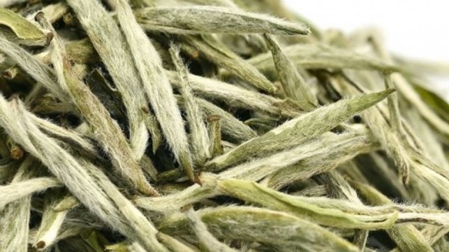 Silver Needle Te e Leggende