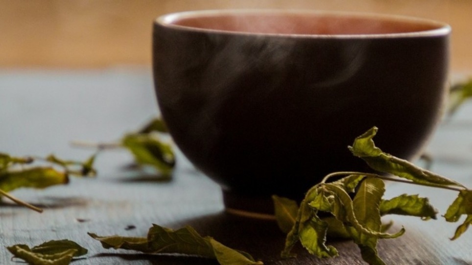 Green Tea - Chat with tea