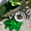 Jade Snail Wu Liang Organic Green Tea