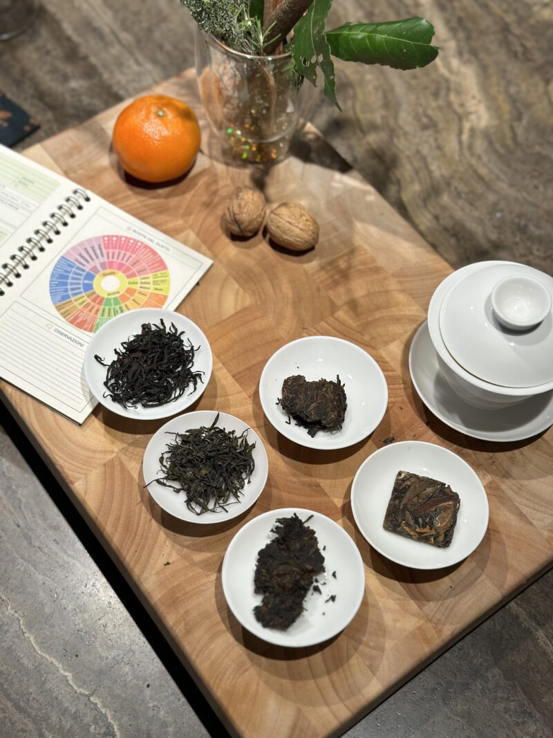tea tasting book