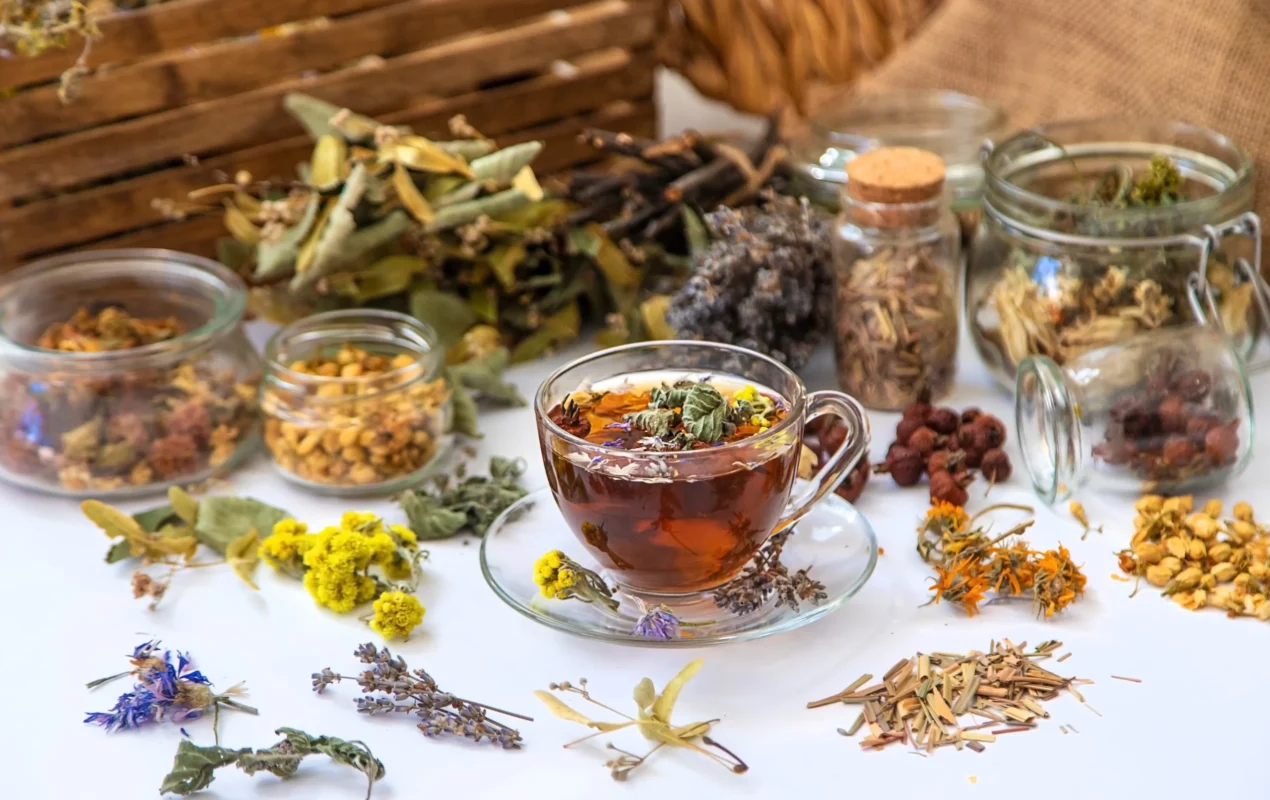 herbal tea with medicinal herbs flowers selective focus scaled 1