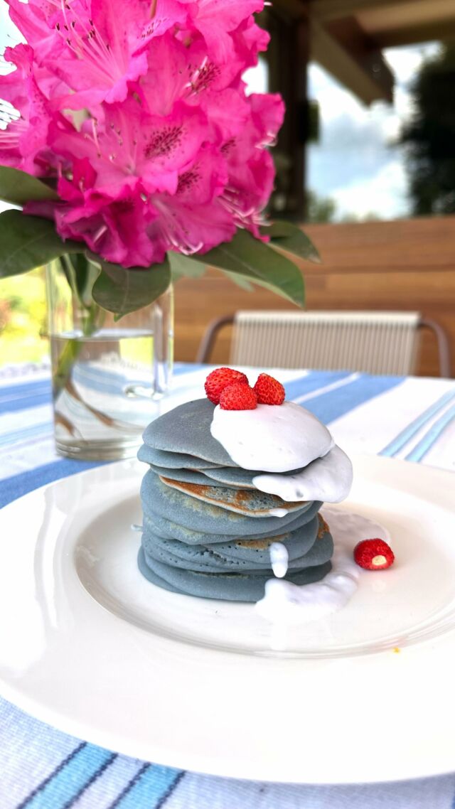 Prepariamoci per l’estate! Butterfly pea flower che abbiamo usato per fare pancakes blu e infusione a freddo con latte di cocco💙💙💙